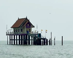 Bryde's whale photo hunt in Thailand Pattaya - tour picture 16
