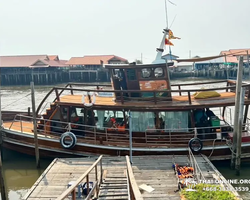 Bryde's whale photo hunt excursion from Pattaya - picture 7