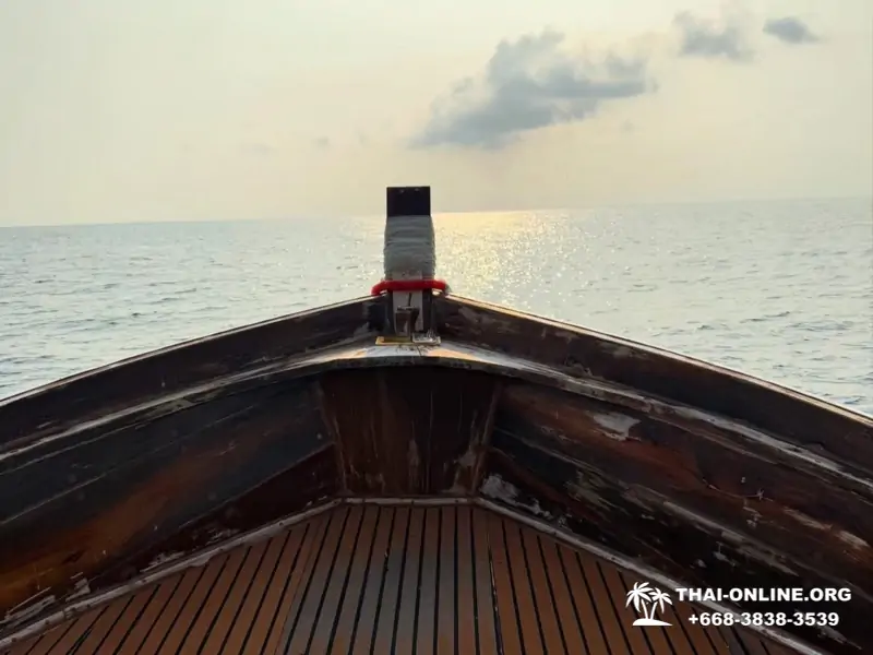 Bryde's whale photo hunt excursion from Pattaya - picture 2