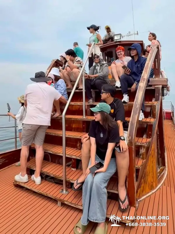 Bryde's whale photo hunt excursion from Pattaya - picture 6
