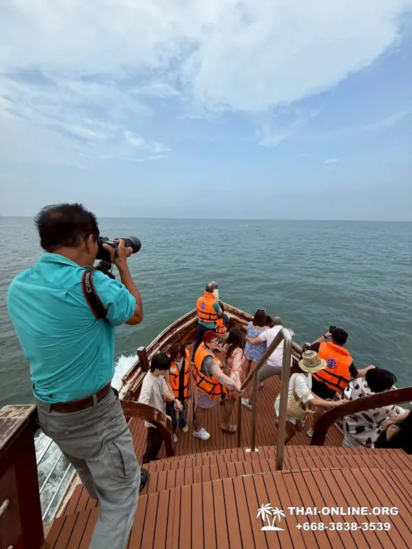 Bryde's whale photo hunt excursion from Pattaya - picture 3