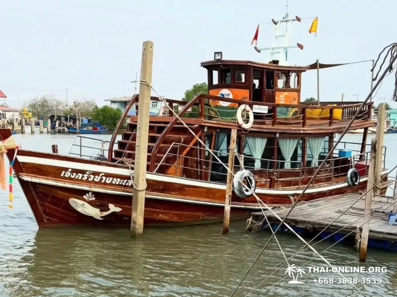 Bryde's whale photo hunt excursion from Pattaya - picture 1