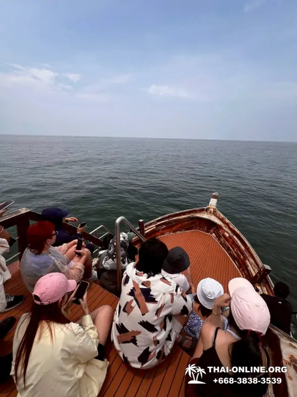 Bryde's whale photo hunt excursion from Pattaya - picture 11