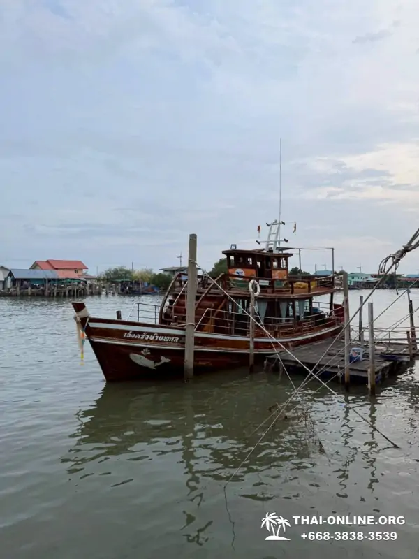 Bryde's whale photo hunt excursion from Pattaya - picture 5