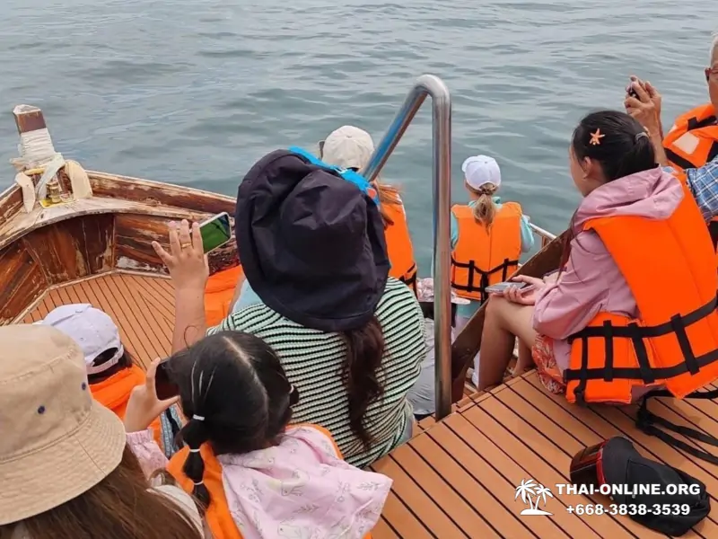 Bryde's whale photo hunt excursion from Pattaya - picture 9