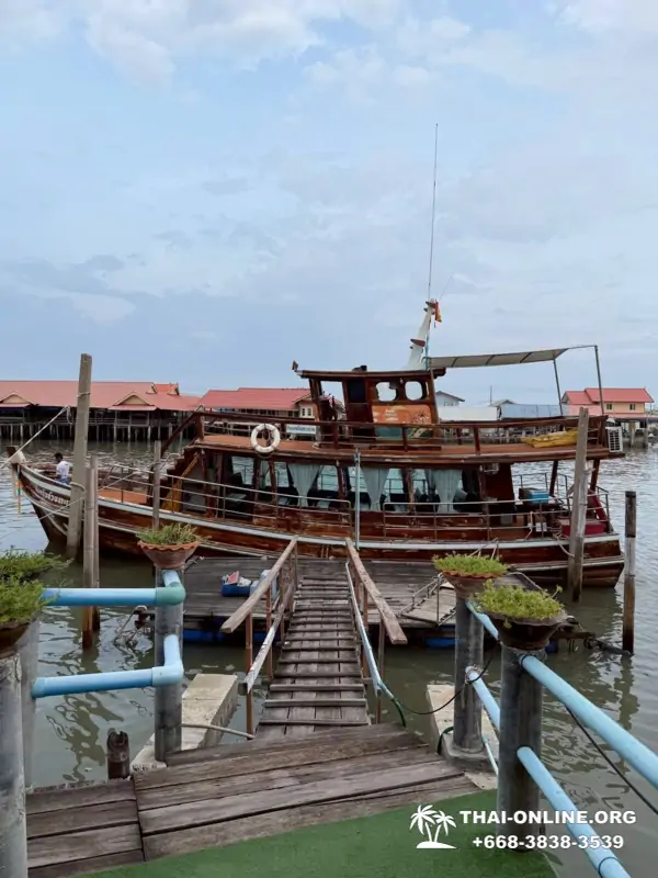 Bryde's whale photo hunt excursion from Pattaya - picture 4