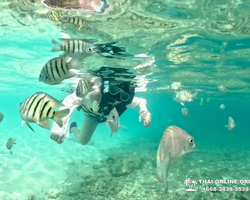 Sea Discovery island snorkeling tour from Pattaya Thailand - photo 128