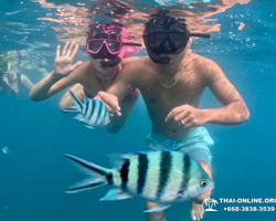 Sea Discovery island snorkeling tour from Pattaya Thailand - photo 11