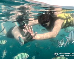 Sea Discovery island snorkeling tour from Pattaya Thailand - photo 24