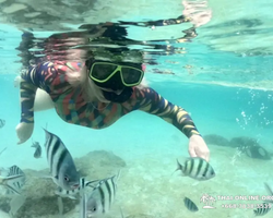 Sea Discovery island snorkeling tour from Pattaya Thailand - photo 136