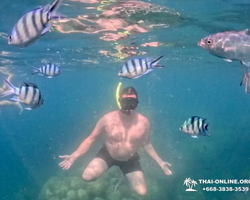 Marine Discovery one day sea trip from Pattaya Thailand - photo 55