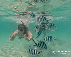 Sea Discovery island snorkeling tour from Pattaya Thailand - photo 38