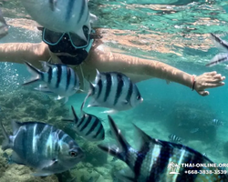 Sea Discovery island snorkeling tour from Pattaya Thailand - photo 141