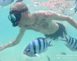 Sea Discovery island snorkeling tour from Pattaya Thailand - photo 122