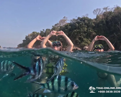 Sea Discovery island snorkeling tour from Pattaya Thailand - photo 34