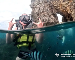 Marine Discovery one day sea trip from Pattaya Thailand - photo 78