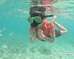 Sea Discovery island snorkeling tour from Pattaya Thailand - photo 116