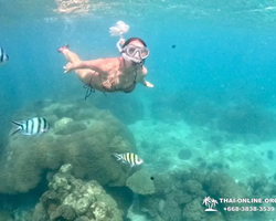 Marine Discovery one day sea trip from Pattaya Thailand - photo 84