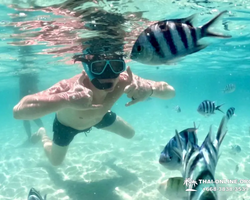 Sea Discovery island snorkeling tour from Pattaya Thailand - photo 145