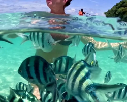 Sea Discovery island snorkeling tour from Pattaya Thailand - photo 148