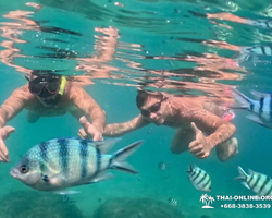 Sea Discovery island snorkeling tour from Pattaya Thailand - photo 43