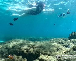 Sea Discovery island snorkeling tour from Pattaya Thailand - photo 101
