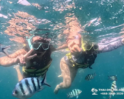 Sea Discovery island snorkeling tour from Pattaya Thailand - photo 37