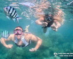 Sea Discovery island snorkeling tour from Pattaya Thailand - photo 33