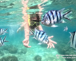 Sea Discovery island snorkeling tour from Pattaya Thailand - photo 44
