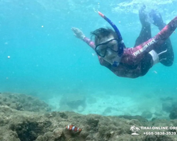 Sea Discovery island snorkeling tour from Pattaya Thailand - photo 137