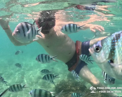 Sea Discovery island snorkeling tour from Pattaya Thailand - photo 40