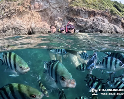 Marine Discovery one day sea trip from Pattaya Thailand - photo 5