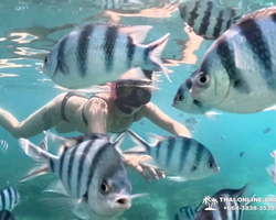 Marine Discovery one day sea trip from Pattaya Thailand - photo 62