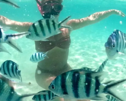 Sea Discovery island snorkeling tour from Pattaya Thailand - photo 150