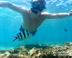 Sea Discovery island snorkeling tour from Pattaya Thailand - photo 146