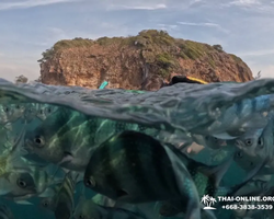 Sea Discovery island snorkeling tour from Pattaya Thailand - photo 30