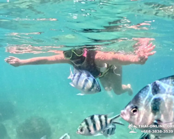 Sea Discovery island snorkeling tour from Pattaya Thailand - photo 105
