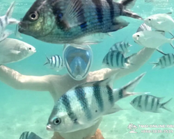 Marine Discovery one day sea trip from Pattaya Thailand - photo 83
