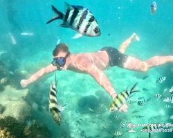 Sea Discovery island snorkeling tour from Pattaya Thailand - photo 144