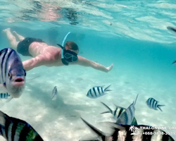 Sea Discovery island snorkeling tour from Pattaya Thailand - photo 147
