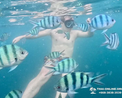 Marine Discovery one day sea trip from Pattaya Thailand - photo 9