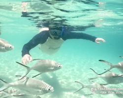 Sea Discovery island snorkeling tour from Pattaya Thailand - photo 109