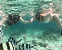 Marine Discovery one day sea trip from Pattaya Thailand - photo 86