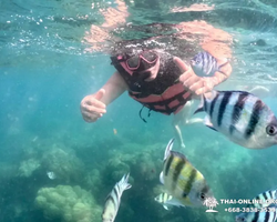 Marine Discovery one day sea trip from Pattaya Thailand - photo 85