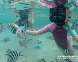 Sea Discovery island snorkeling tour from Pattaya Thailand - photo 133