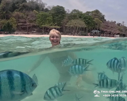 Sea Discovery island snorkeling tour from Pattaya Thailand - photo 123