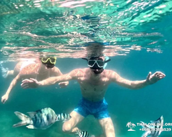 Marine Discovery one day sea trip from Pattaya Thailand - photo 61