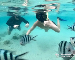 Sea Discovery island snorkeling tour from Pattaya Thailand - photo 131