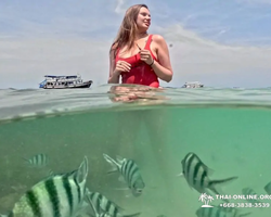 Sea Discovery island snorkeling tour from Pattaya Thailand - photo 134