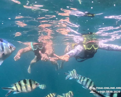 Sea Discovery island snorkeling tour from Pattaya Thailand - photo 36